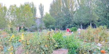 Crecen las quejas por robos en los huertos urbanos del alfoz: “Me lo han quitado prácticamente todo”