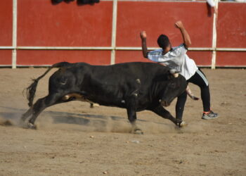 Santa Marta arranca el sábado, última jornada festiva, con ‘El Toro’ que finaliza sin incidentes