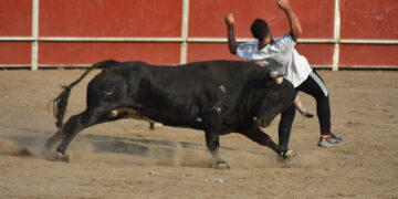 Santa Marta arranca el sábado, última jornada festiva, con ‘El Toro’ que finaliza sin incidentes