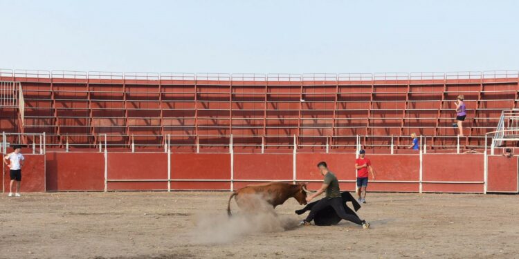 Santa Marta presencia cortes y buen ambiente en su última capea popular de las fiestas