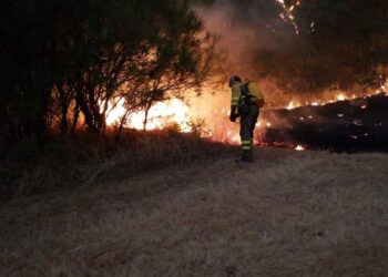 La Junta confirma la petición realizada al Gobierno para declarar a Cipérez y Martín de Yeltes como zonas gravemente afectactada por los incendios