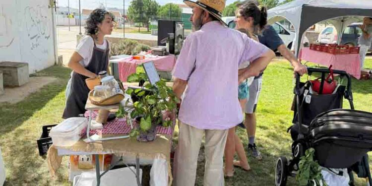 Finaliza el Mercado de Temporada con un balance muy positivo tanto de asistencia como de ventas