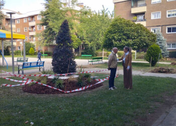 Renovación integral de las zonas verdes de la Plaza Comuneros