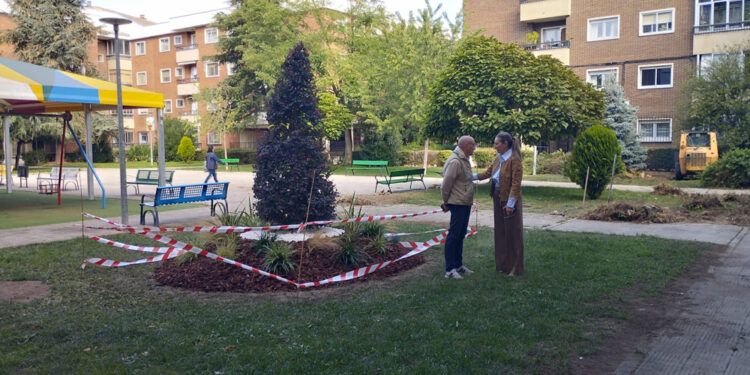 Renovación integral de las zonas verdes de la Plaza Comuneros