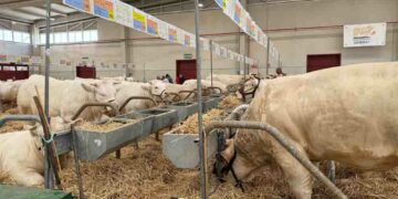 El PSOE califica el balance de Salamaq realizado por Javier Iglesias como «de falso triunfalismo que ni él mismo se cree»