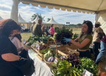 Apuesta por los productos ecológicos y naturales en el 4º mercado del centro de FP Lorenzo Milani