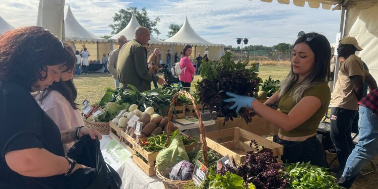 Apuesta por los productos ecológicos y naturales en el 4º mercado del centro de FP Lorenzo Milani