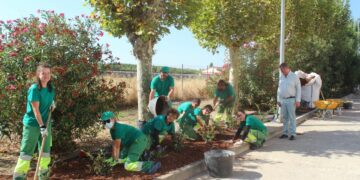 Cabrerizos embellece su imagen con la creación de un nuevo jardín y continúa acondicionando sus zonas verdes