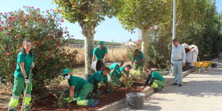 Cabrerizos embellece su imagen con la creación de un nuevo jardín y continúa acondicionando sus zonas verdes