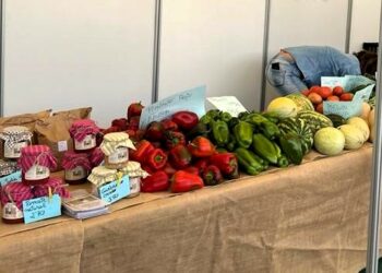 Cabrerizos se prepara para llenarse de sabor, música y actividades con el Mercado de Productos Locales