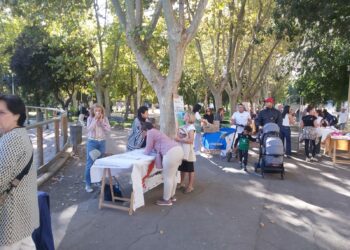 26 asociaciones de Ayuda Mutua y Salud llenan La Alamedilla de hábitos saludables