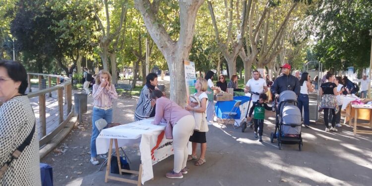 26 asociaciones de Ayuda Mutua y Salud llenan La Alamedilla de hábitos saludables
