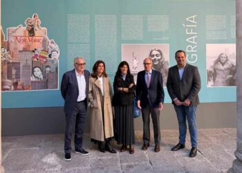 La Diputación muestra la exposición de collages realizados por Carmen Martín Gaite