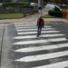 Santa Marta estrena 4 pasos de peatones inteligentes para reforzar la seguridad vial y evitar atropellos