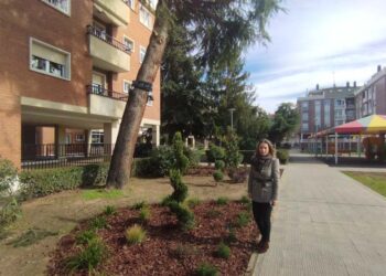 La inversión de 18.121 euros permite mejorar la imagen de la plaza Comuneros