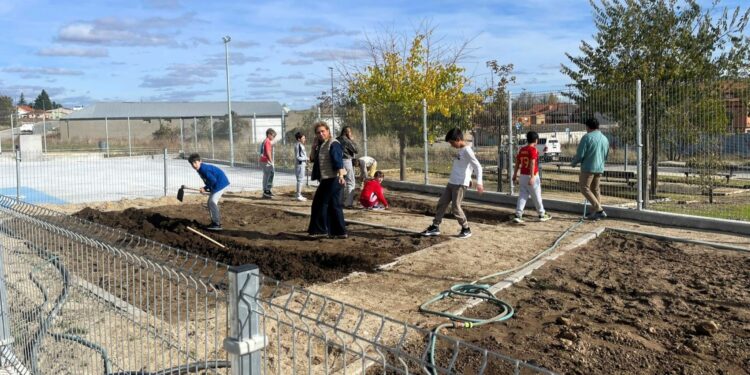 Los alumnos de Aldeatejada estrenan el huerto escolar en el patio del CRA Los Arapiles