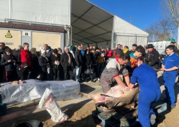 Cabrerizos iniciará las fiestas de la matanza tradicional en el alfoz el próximo 17 de enero