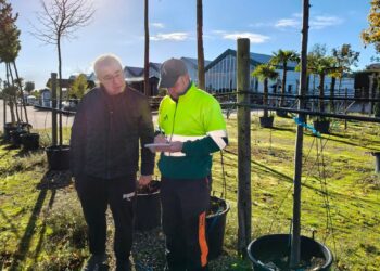 Carbajosa reverdecerá el caso urbano con 42 nuevos árboles