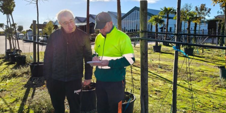 Carbajosa reverdecerá el casco urbano con 42 nuevos árboles