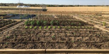 Abierto el plazo para solicitar la cesión de los huertos familiares de Castellanos hasta el día 12