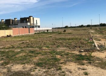 La alta demanda de solicitudes para optar a un huerto urbano en Castellanos obliga a adjudicarlos por sorteo