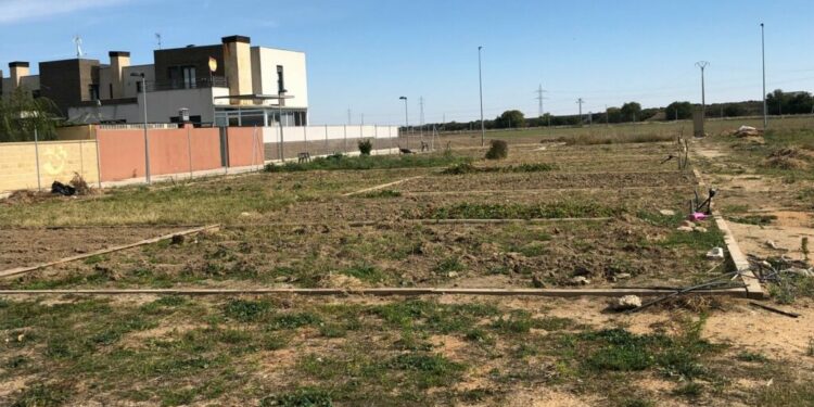 La alta demanda de solicitudes para optar a un huerto urbano en Castellanos obliga a adjudicarlos por sorteo
