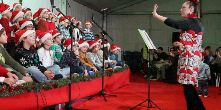 La Escuela de Música ofrecerá un concierto solidario de Navidad a los mayores de la residencia Colisée