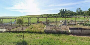 Abierto el plazo para que los vecinos de Monterrubio soliciten uno de los huertos de ocio municipales