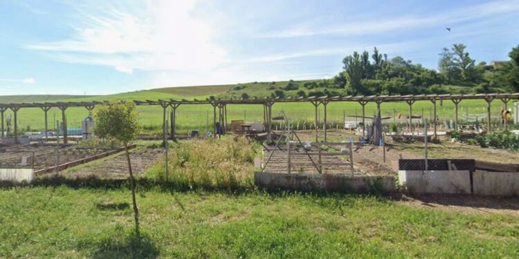 Abierto el plazo para que los vecinos de Monterrubio soliciten uno de los huertos de ocio municipales