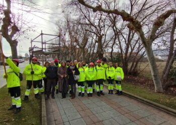 Dieciocho alumnos participan en el taller de poda del proyecto ‘Los Puentes del Arte’ de Santa Marta