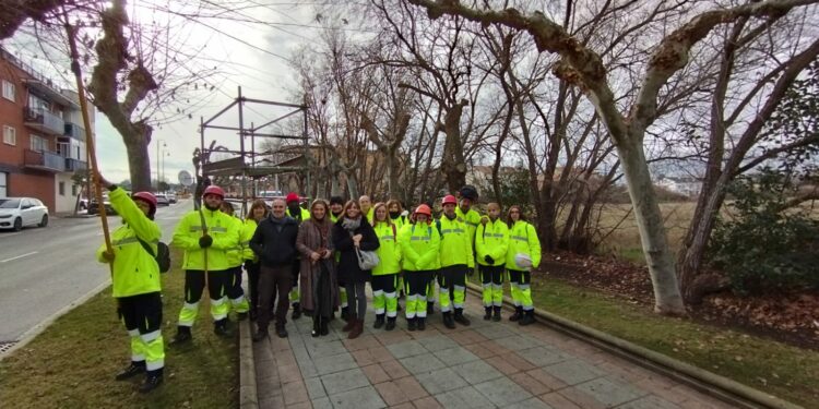 Dieciocho alumnos participan en el taller de poda del proyecto ‘Los Puentes del Arte’ de Santa Marta