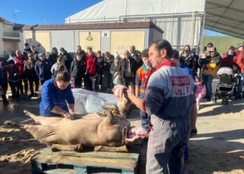 La fiesta de la matanza tradicional de Cabrerizos inicia el circuito matancero de este año en el alfoz