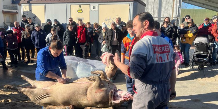 La fiesta de la matanza tradicional de Cabrerizos inicia el circuito matancero de este año en el alfoz