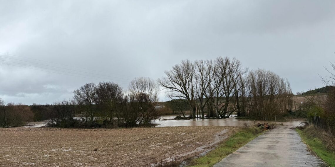 El arroyo del Zurguén vuelve a desbordarse a su paso por Aldeatejada