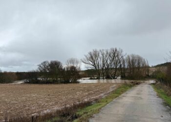 El arroyo del Zurguén vuelve a desbordarse a su paso por Aldeatejada