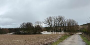El arroyo del Zurguén vuelve a desbordarse a su paso por Aldeatejada