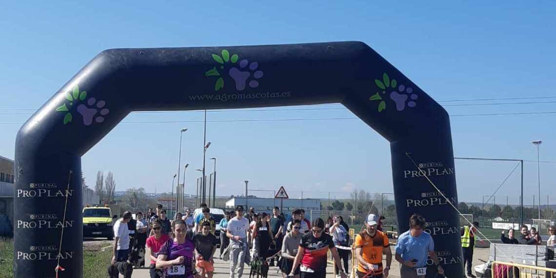 Un centenar de participantes compiten en el Canicross Fundación Luna