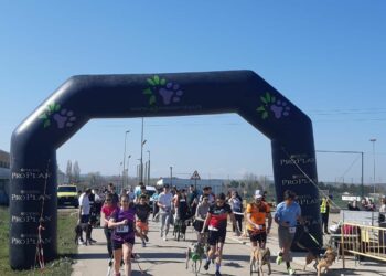 Un centenar de participantes compiten en el Canicross Fundación Luna