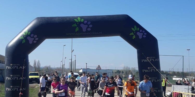 Un centenar de participantes compiten en el Canicross Fundación Luna