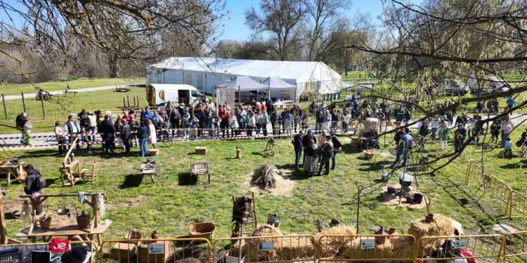 La Fiesta de la Matanza Tradicional reúne a unas mil personas en la Isla del Soto