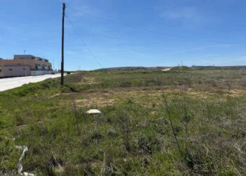 El Ayuntamiento de Aldeatejada obliga a realizar la limpieza de parcelas y solares antes del día 1 de mayo