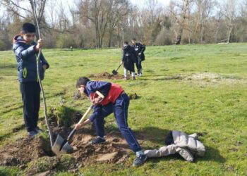 Los escolares del CEIP Martín Gaite colaboran en la reforestación de la Isla del Soto