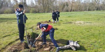 Los escolares del CEIP Martín Gaite colaboran en la reforestación de la Isla del Soto