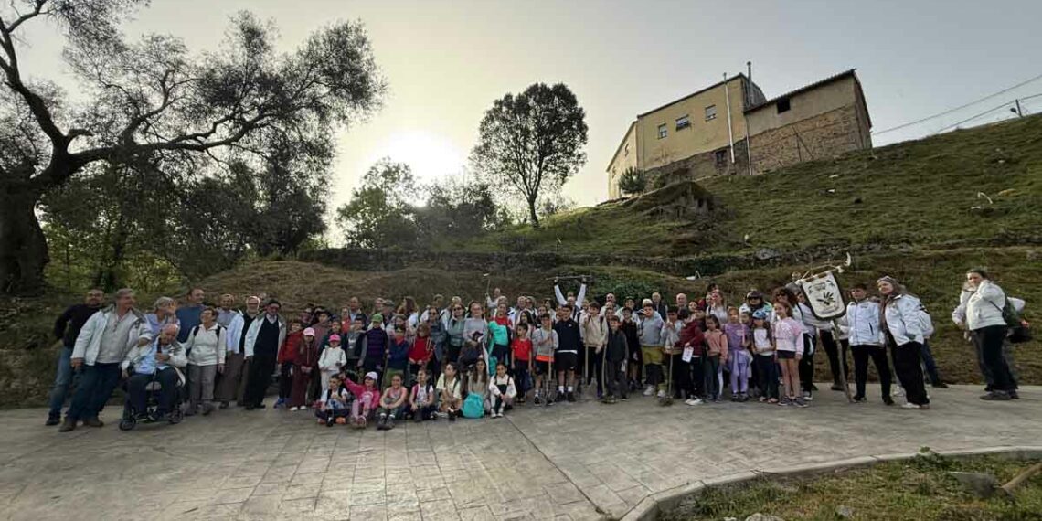 San Esteban planta el Jardín Olearum con 50 especies de olivos llegados de España, Italia, Francia y Portugal
