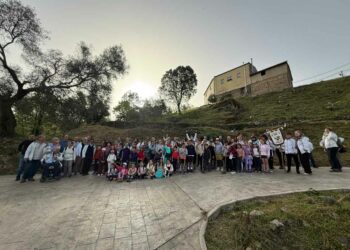 San Esteban planta el Jardín Olearum con 50 especies de olivos llegados de España, Italia, Francia y Portugal