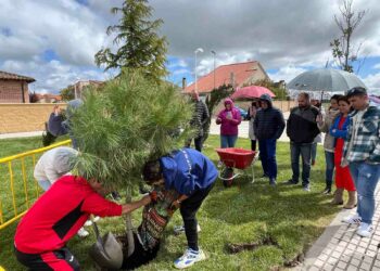 Los Quintos de Castellanos plantarán su ‘mayo’ el próximo sábado día 2