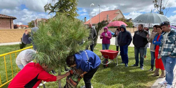 Los Quintos de Castellanos plantarán su ‘mayo’ el próximo sábado día 2