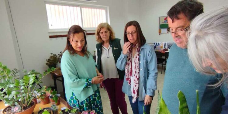 Curiosa iniciativa de intercambio de esquejes impulsada por Asprodes en Santa Marta