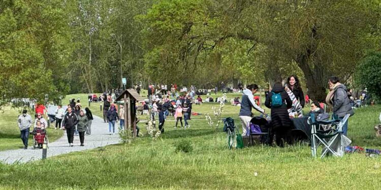 Mantas y abrigos para degustar el hornazo en la Isla del Soto