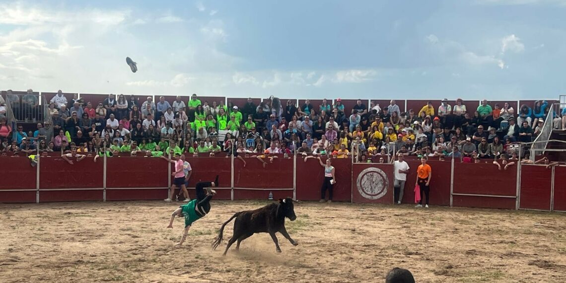 La afición de Doñinos llena la plaza de toros para divertirse con el gran prix de peñas y las vaquillas